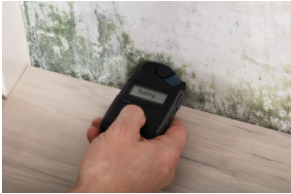 Hand using a moisture meter on a mold-stained wall.