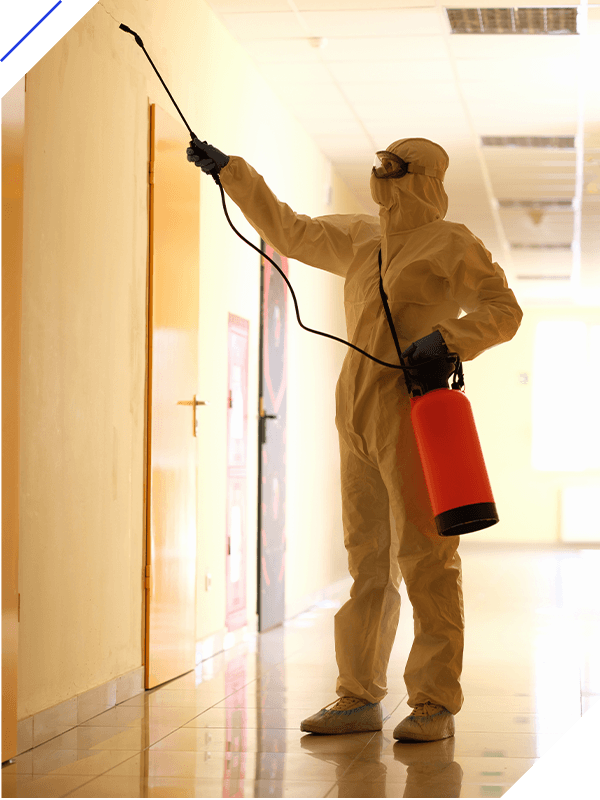 Person wearing white chemical protection suit holding spray bottle with disinfectant chemicals