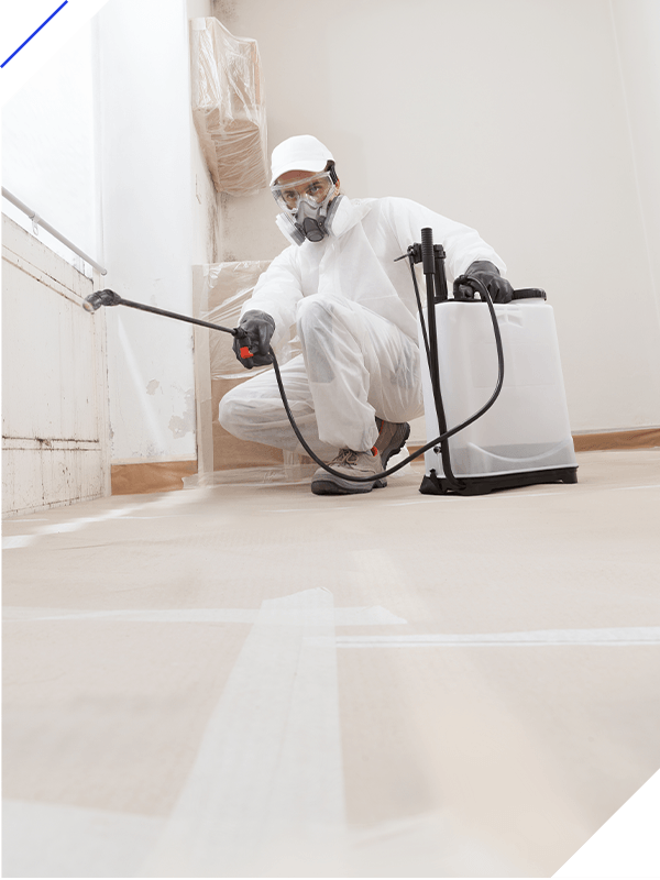 A professional worker spraying products to remove mold before house painting